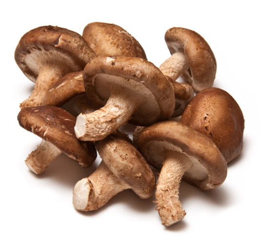 Fresh Shiitake Mushrooms