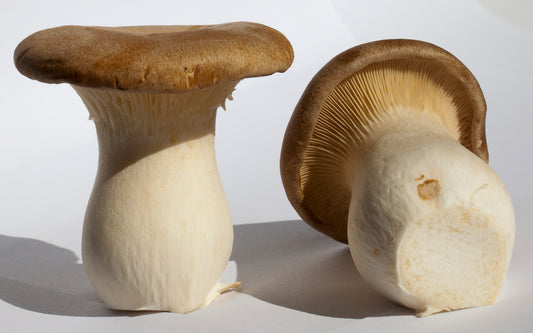 Fresh King Oyster Mushrooms